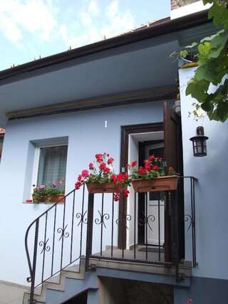 Гостевой дом Blue House Брашов Таунхаус с 3 спальнями-22