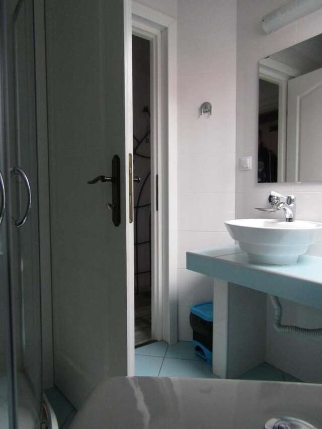 Гостевой дом Blue House Брашов-15